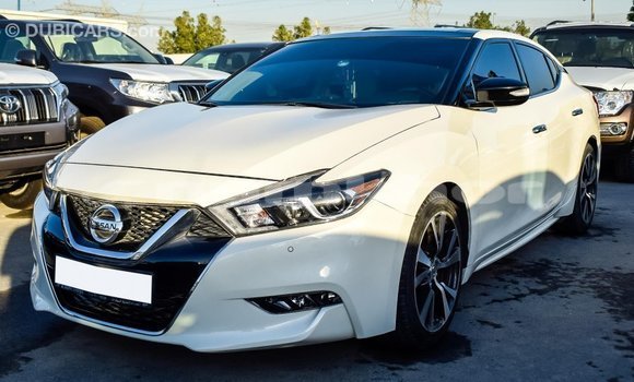 Buy Import Nissan Maxima White Car in Import - Dubai in Bumthang Buy Import Nissan Maxima White Car in Import - Dubai in Bumthang