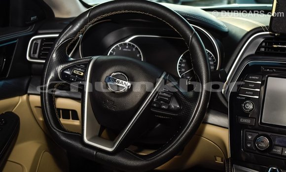 Buy Import Nissan Maxima White Car in Import - Dubai in Bumthang Buy Import Nissan Maxima White Car in Import - Dubai in Bumthang