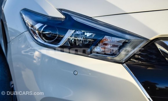 Buy Import Nissan Maxima White Car in Import - Dubai in Bumthang Buy Import Nissan Maxima White Car in Import - Dubai in Bumthang