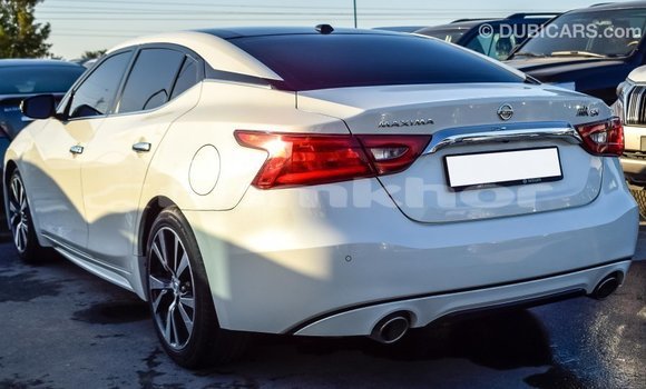 Buy Import Nissan Maxima White Car in Import - Dubai in Bumthang Buy Import Nissan Maxima White Car in Import - Dubai in Bumthang
