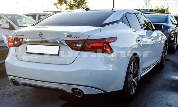 Buy Import Nissan Maxima White Car in Import - Dubai in Bumthang Buy Import Nissan Maxima White Car in Import - Dubai in Bumthang