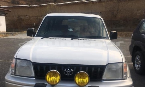 Buy Used Toyota Land Cruiser Prado White Car in Thimphu in Timphu