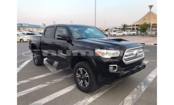Buy Import Toyota Tacoma Black Car in Import - Dubai in Bumthang Buy Import Toyota Tacoma Black Car in Import - Dubai in Bumthang