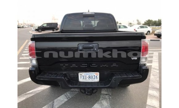 Buy Import Toyota Tacoma Black Car in Import - Dubai in Bumthang Buy Import Toyota Tacoma Black Car in Import - Dubai in Bumthang