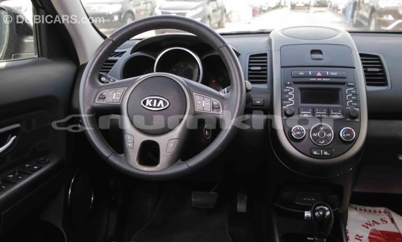 Buy Import Kia Soul Black Car in Import - Dubai in Bumthang Buy Import Kia Soul Black Car in Import - Dubai in Bumthang