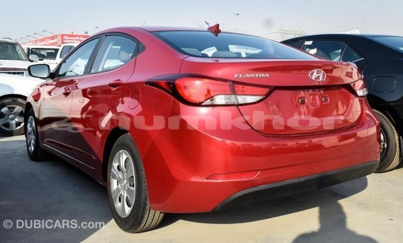Buy Import Hyundai Elantra Red Car in Import - Dubai in Bumthang Buy Import Hyundai Elantra Red Car in Import - Dubai in Bumthang