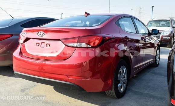 Buy Import Hyundai Elantra Red Car in Import - Dubai in Bumthang Buy Import Hyundai Elantra Red Car in Import - Dubai in Bumthang