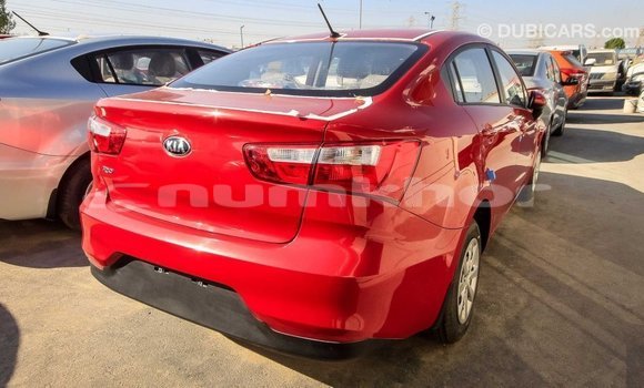 Buy Import Kia Rio Red Car in Import - Dubai in Bumthang Buy Import Kia Rio Red Car in Import - Dubai in Bumthang