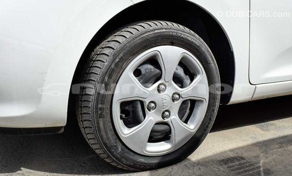 Buy Import Kia Picanto White Car in Import - Dubai in Bumthang Buy Import Kia Picanto White Car in Import - Dubai in Bumthang