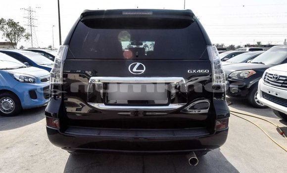 Buy Import Lexus GX Black Car in Import - Dubai in Bumthang Buy Import Lexus GX Black Car in Import - Dubai in Bumthang