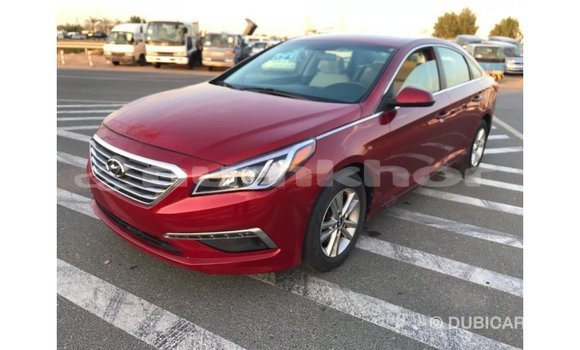 Buy Import Hyundai Sonata Red Car in Import - Dubai in Bumthang Buy Import Hyundai Sonata Red Car in Import - Dubai in Bumthang