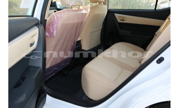 Buy Import Toyota Corolla White Car in Import - Dubai in Bumthang Buy Import Toyota Corolla White Car in Import - Dubai in Bumthang