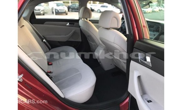 Buy Import Hyundai Sonata Red Car in Import - Dubai in Bumthang Buy Import Hyundai Sonata Red Car in Import - Dubai in Bumthang
