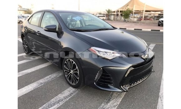 Buy Import Toyota Corolla Other Car in Import - Dubai in Bumthang Buy Import Toyota Corolla Other Car in Import - Dubai in Bumthang
