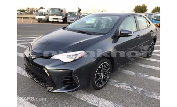 Buy Import Toyota Corolla Other Car in Import - Dubai in Bumthang Buy Import Toyota Corolla Other Car in Import - Dubai in Bumthang