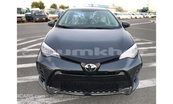 Buy Import Toyota Corolla Other Car in Import - Dubai in Bumthang Buy Import Toyota Corolla Other Car in Import - Dubai in Bumthang