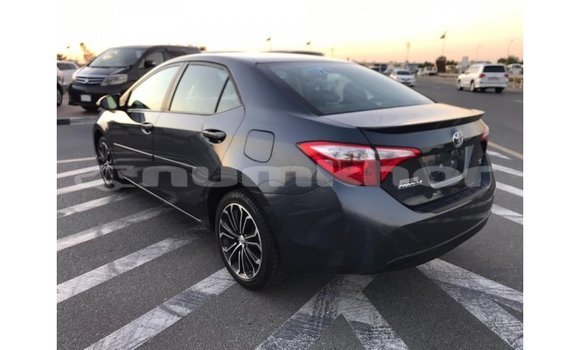 Buy Import Toyota Corolla Other Car in Import - Dubai in Bumthang Buy Import Toyota Corolla Other Car in Import - Dubai in Bumthang