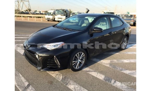 Buy Import Toyota Corolla Black Car in Import - Dubai in Bumthang Buy Import Toyota Corolla Black Car in Import - Dubai in Bumthang