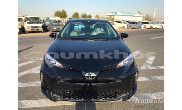 Buy Import Toyota Corolla Black Car in Import - Dubai in Bumthang Buy Import Toyota Corolla Black Car in Import - Dubai in Bumthang