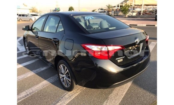 Buy Import Toyota Corolla Black Car in Import - Dubai in Bumthang Buy Import Toyota Corolla Black Car in Import - Dubai in Bumthang