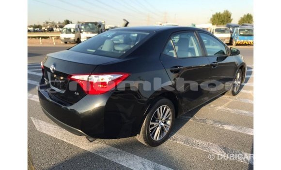 Buy Import Toyota Corolla Black Car in Import - Dubai in Bumthang Buy Import Toyota Corolla Black Car in Import - Dubai in Bumthang