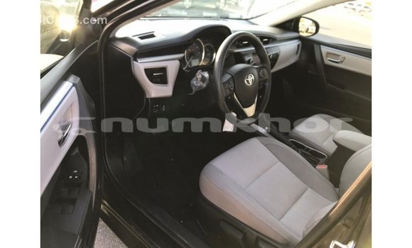 Buy Import Toyota Corolla Black Car in Import - Dubai in Bumthang Buy Import Toyota Corolla Black Car in Import - Dubai in Bumthang