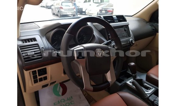 Buy Import Toyota Prado Brown Car in Import - Dubai in Bumthang Buy Import Toyota Prado Brown Car in Import - Dubai in Bumthang