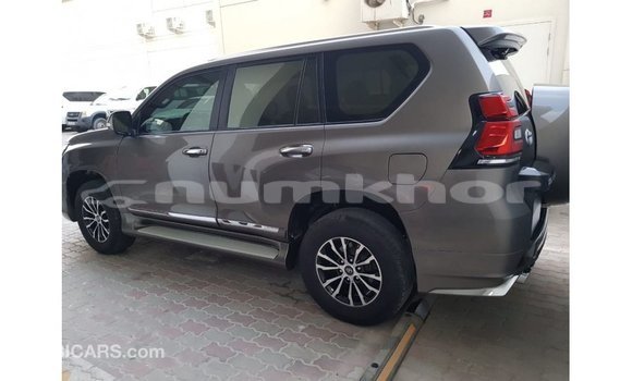 Buy Import Toyota Prado Brown Car in Import - Dubai in Bumthang Buy Import Toyota Prado Brown Car in Import - Dubai in Bumthang