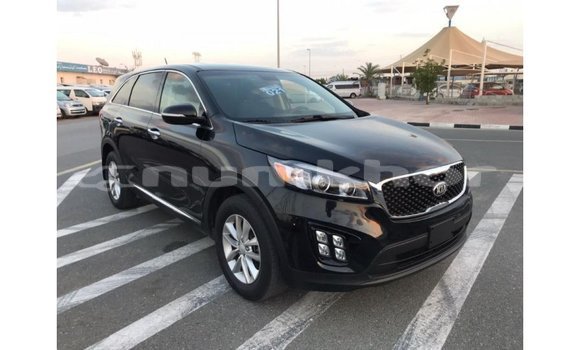 Buy Import Kia Sorento Black Car in Import - Dubai in Bumthang Buy Import Kia Sorento Black Car in Import - Dubai in Bumthang