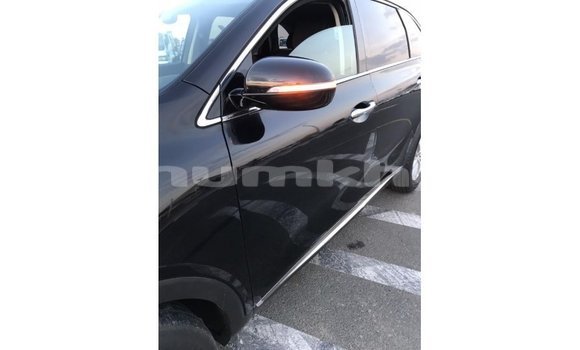 Buy Import Kia Sorento Black Car in Import - Dubai in Bumthang Buy Import Kia Sorento Black Car in Import - Dubai in Bumthang