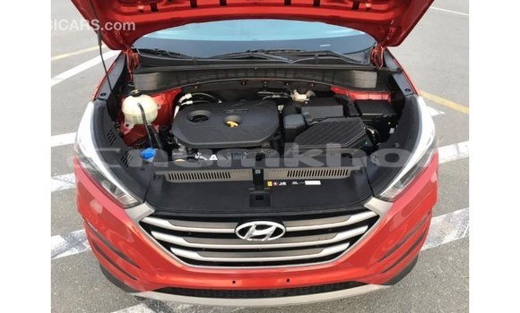 Buy Import Hyundai Tucson Red Car in Import - Dubai in Bumthang Buy Import Hyundai Tucson Red Car in Import - Dubai in Bumthang