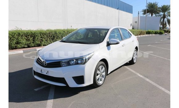 Buy Import Toyota Corolla White Car in Import - Dubai in Bumthang Buy Import Toyota Corolla White Car in Import - Dubai in Bumthang