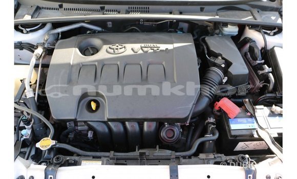 Buy Import Toyota Corolla White Car in Import - Dubai in Bumthang Buy Import Toyota Corolla White Car in Import - Dubai in Bumthang