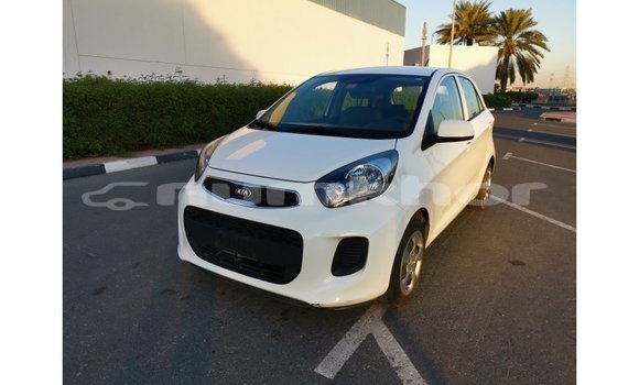 Buy Import Kia Picanto White Car in Import - Dubai in Bumthang Buy Import Kia Picanto White Car in Import - Dubai in Bumthang