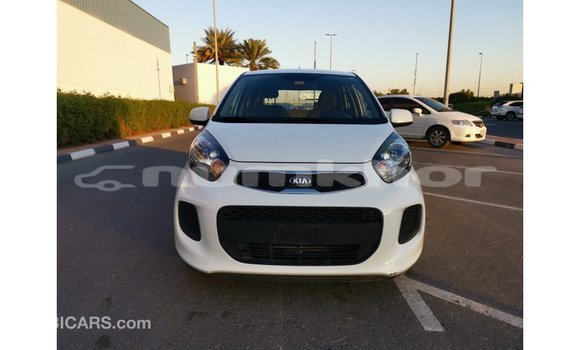 Buy Import Kia Picanto White Car in Import - Dubai in Bumthang Buy Import Kia Picanto White Car in Import - Dubai in Bumthang