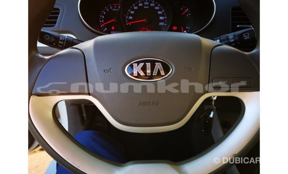Buy Import Kia Picanto White Car in Import - Dubai in Bumthang Buy Import Kia Picanto White Car in Import - Dubai in Bumthang