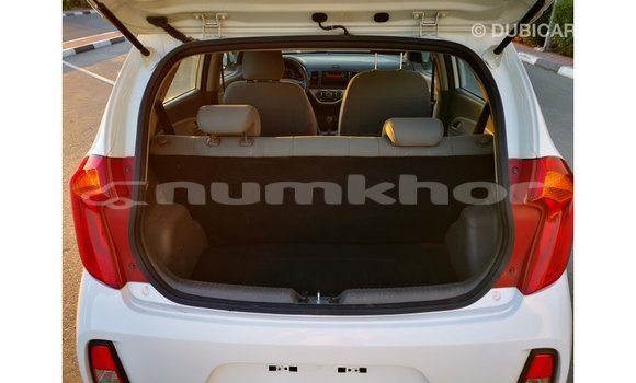 Buy Import Kia Picanto White Car in Import - Dubai in Bumthang Buy Import Kia Picanto White Car in Import - Dubai in Bumthang