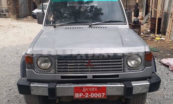 Buy Used Mitsubishi Pajero Silver Car in Phuntsholing in Samchi