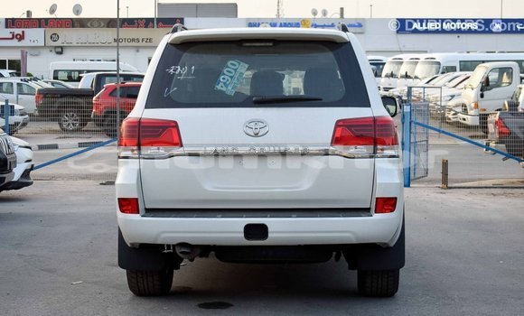 Buy Import Toyota Land Cruiser Other Car in Import - Dubai in Bumthang Buy Import Toyota Land Cruiser Other Car in Import - Dubai in Bumthang