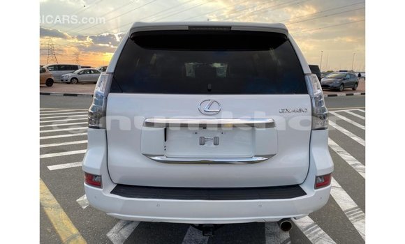 Buy Import Lexus GX White Car in Import - Dubai in Bumthang Buy Import Lexus GX White Car in Import - Dubai in Bumthang
