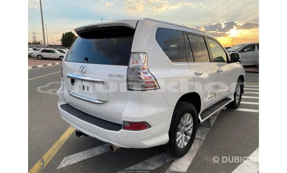 Buy Import Lexus GX White Car in Import - Dubai in Bumthang Buy Import Lexus GX White Car in Import - Dubai in Bumthang