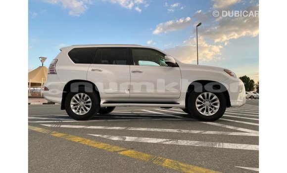 Buy Import Lexus GX White Car in Import - Dubai in Bumthang Buy Import Lexus GX White Car in Import - Dubai in Bumthang
