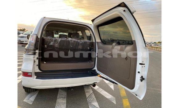 Buy Import Lexus GX White Car in Import - Dubai in Bumthang Buy Import Lexus GX White Car in Import - Dubai in Bumthang