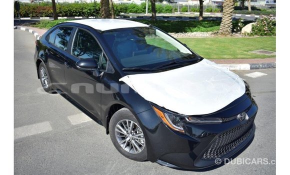 Buy Import Toyota Corolla Black Car in Import - Dubai in Bumthang Buy Import Toyota Corolla Black Car in Import - Dubai in Bumthang