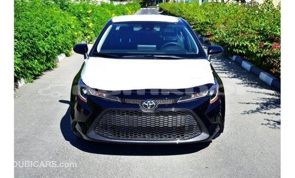 Buy Import Toyota Corolla Black Car in Import - Dubai in Bumthang Buy Import Toyota Corolla Black Car in Import - Dubai in Bumthang