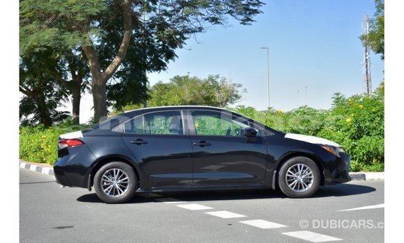 Buy Import Toyota Corolla Black Car in Import - Dubai in Bumthang Buy Import Toyota Corolla Black Car in Import - Dubai in Bumthang