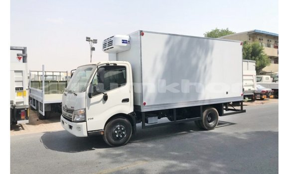 Buy Import Hino 300 Series White Truck in Import - Dubai in Bumthang
