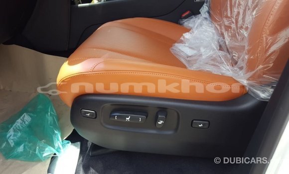 Buy Import Lexus LX Other Car in Import - Dubai in Bumthang Buy Import Lexus LX Other Car in Import - Dubai in Bumthang