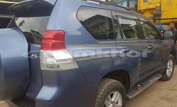 Buy Used Toyota Land Cruiser Prado Blue Car in Thimphu in Timphu Buy Used Toyota Land Cruiser Prado Blue Car in Thimphu in Timphu