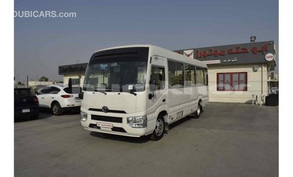 Buy Import Toyota Coaster White Car in Import - Dubai in Bumthang Buy Import Toyota Coaster White Car in Import - Dubai in Bumthang